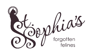St. Sophia's Forgotten Felines