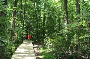 Earthplace trails