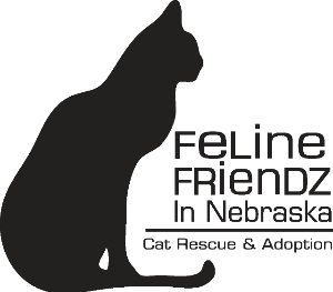Feline Friendz in Nebraska