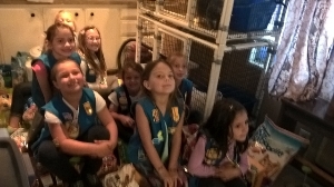 Daisy Girl Scouts