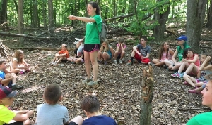 Nature Exploration at Camp!