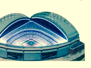 A Stadium Concept