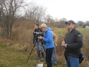 Bird Monitoring at Pickering Creek Audubon Center