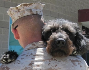 Service dog helps Marine