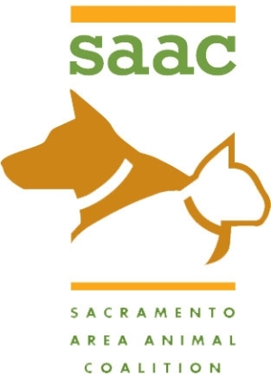 SAAC Logo Color2