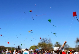 Kites at the Kite Festival