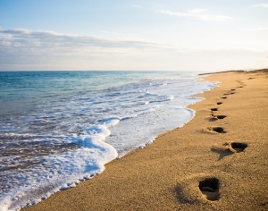 Footprints in the Sand 5K Walk / Run