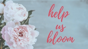 Help Us Bloom