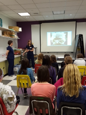 Students learning about Veterinary work and care