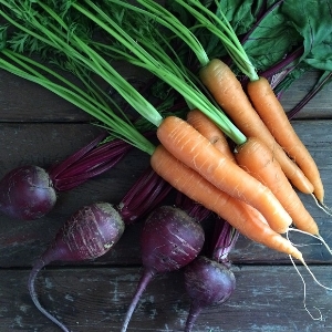 Carrots & Beets