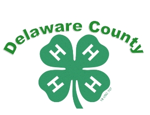 Delaware County 4-H