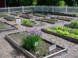Castleton Community Center Garden