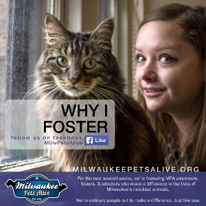 Why I Foster