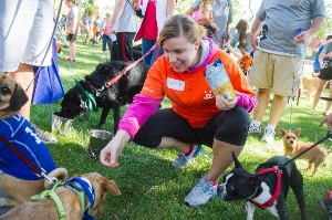 Volunteer at special events like Strut Your Mutt
