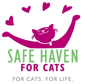 SAFE Haven for Cats