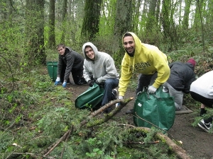 Forest Volunteers in Hendricks Park