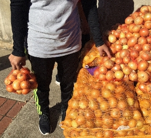 onions in hand