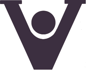 V logo