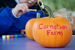 Harvest Fest Fun at Carnation Farms