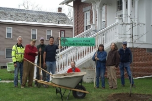 Tree Planting in North Amherst