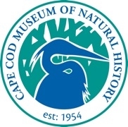 CCMNH Logo