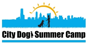 www.citydogsummercamp.org