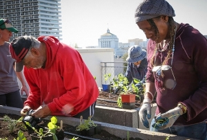 Community Gardening in Oakland
