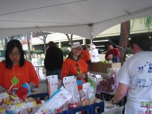 Volunteers in Action