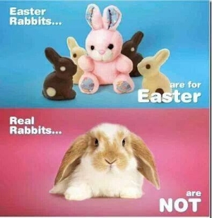 Toy Rabbits for Easter