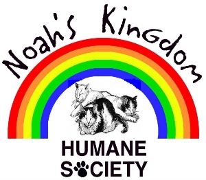 Noah's Kingdom