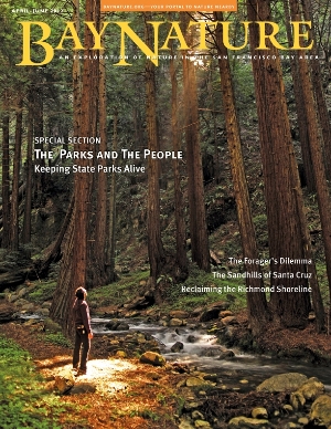Bay Nature's April 2012 issue