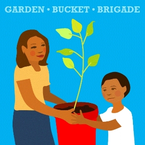 Gardening in a Bucket