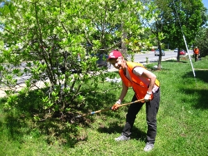 Great Exercise - Help Our Trees!