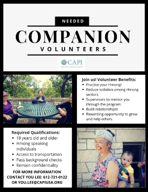 Companion Volunteer