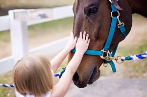 Horses helping humans, humans helping horses