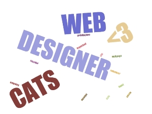 Web Designer