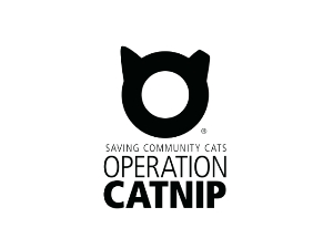Catnip Logo