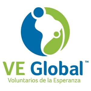 VE Global Logo v2