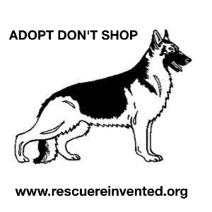 RR. Adopt Don't Shop