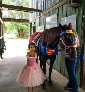 Super Horse and the Princess