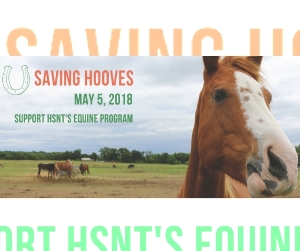 Saving Hooves - Clean Up Day 05/05/2018