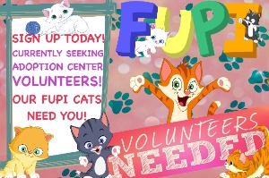FUPI Cat Adoption Center Volunteer