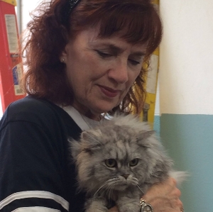 Senior kitties LOVE our volunteers!