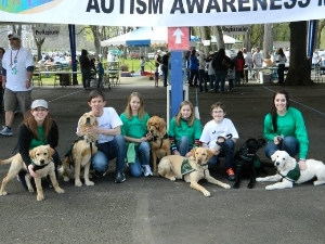 Volunteers and service dogs at the ASO Walkathon!