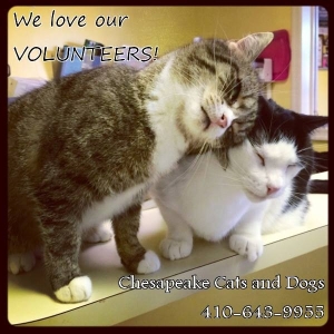 We Love Our Volunteers!