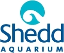 Shedd Logo
