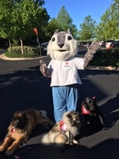Therapy Dogs with Red Cross Mascot, Squiggy