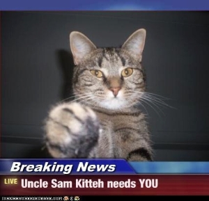 Uncle Sam Kitty Wants You!