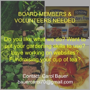 Great volunteer opportunities!