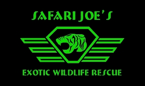 Safari Joe's Logo